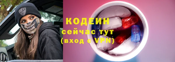 хмурый Гусиноозёрск