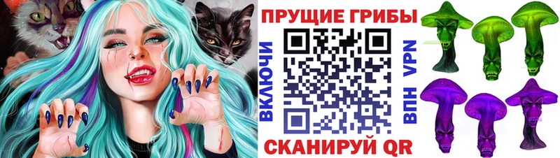 Купить где  Княгинино  Псилоцибиновые грибы Psilocybe 